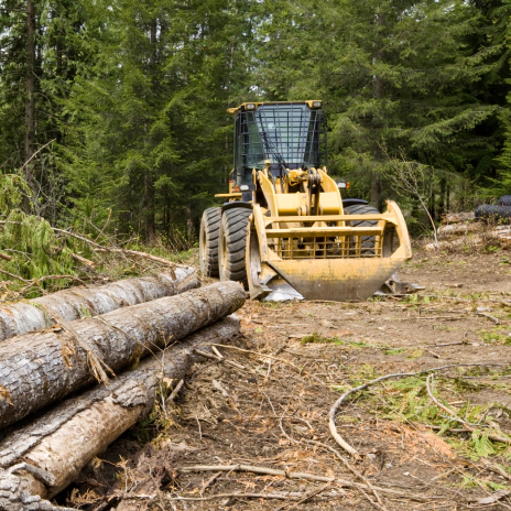 land clearing